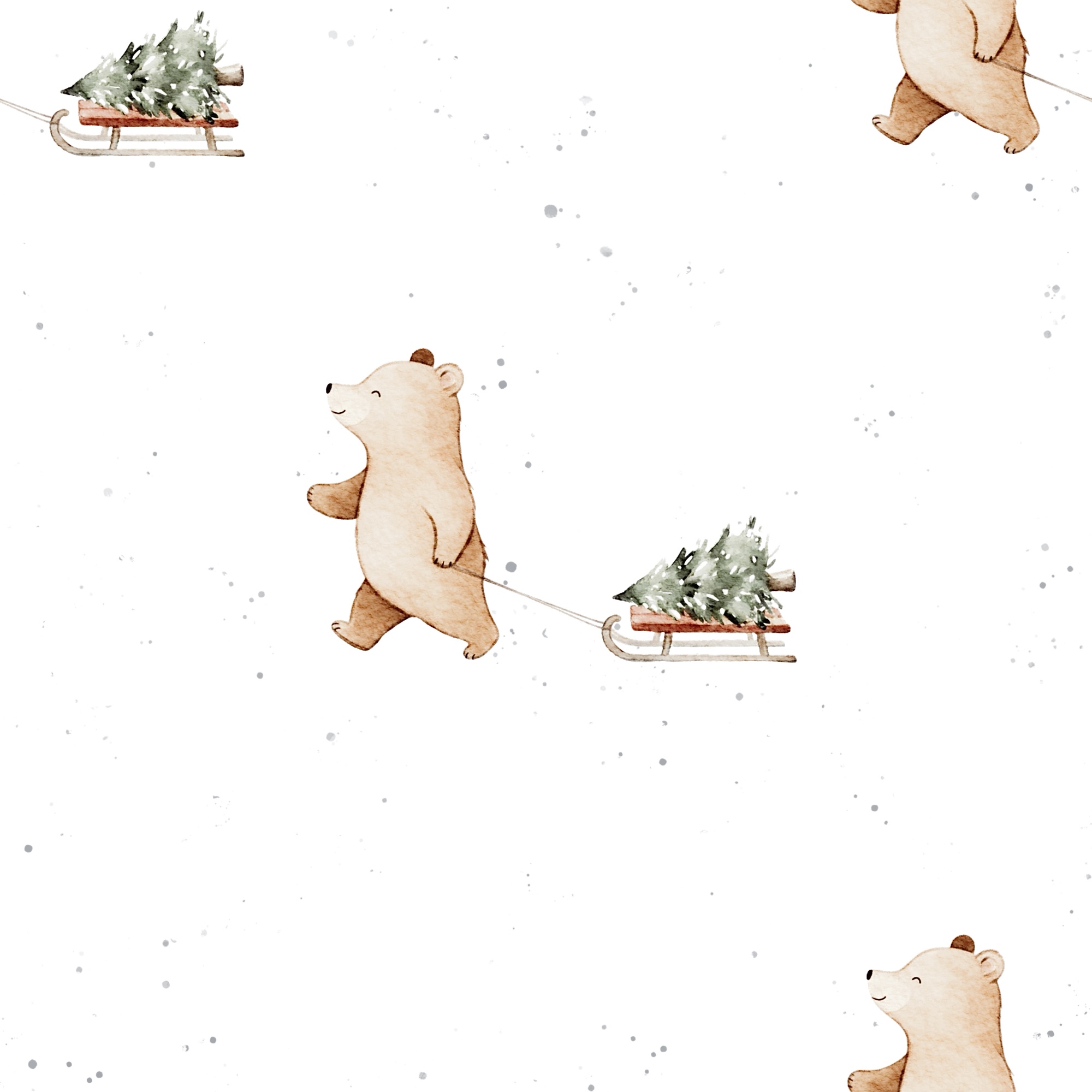 Winter Teddy Walk
